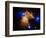 Stars and Nebula-Terry Why-Framed Photographic Print