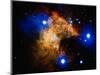 Stars and Nebula-Terry Why-Mounted Photographic Print