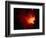 Stars and Nebula-Terry Why-Framed Photographic Print