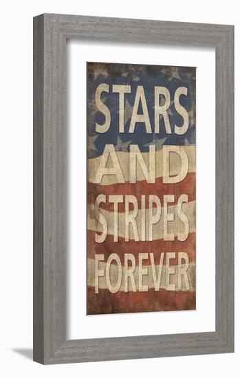 Stars and Stripes Forever-Sparx Studio-Framed Giclee Print