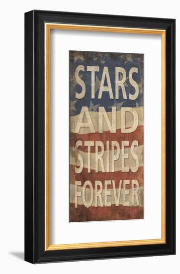 Stars and Stripes Forever-Sparx Studio-Framed Art Print