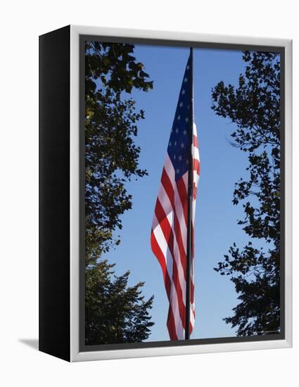 Stars and Stripes, Liberty Island, New York City, New York, United States of America, North America-Amanda Hall-Framed Premier Image Canvas
