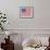 Stars and Stripes-Ben James-Framed Giclee Print displayed on a wall