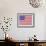 Stars and Stripes-Ben James-Framed Giclee Print displayed on a wall