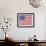 Stars and Stripes-Ben James-Framed Giclee Print displayed on a wall