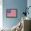 Stars and Stripes-Ben James-Framed Stretched Canvas displayed on a wall