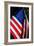 Stars and Stripes-Craig Howarth-Framed Photographic Print