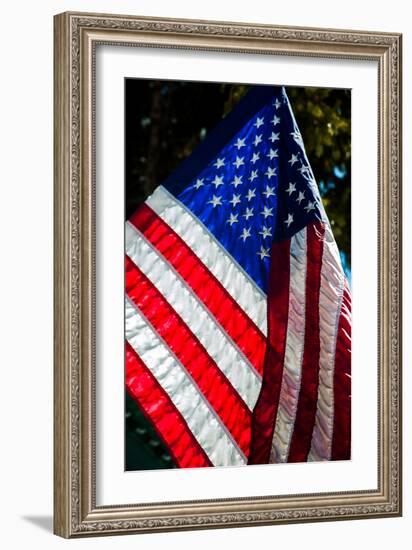 Stars and Stripes-Craig Howarth-Framed Photographic Print