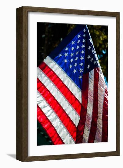 Stars and Stripes-Craig Howarth-Framed Photographic Print