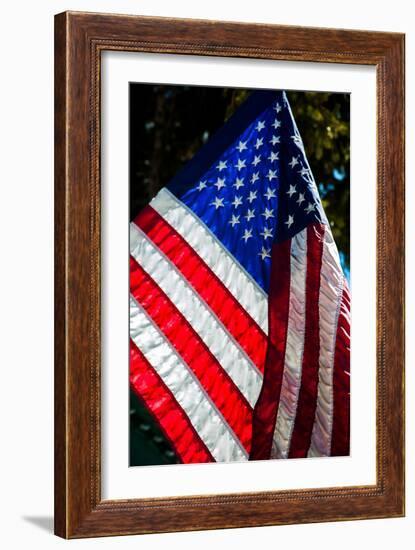 Stars and Stripes-Craig Howarth-Framed Photographic Print