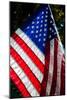 Stars and Stripes-Craig Howarth-Mounted Photographic Print