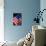 Stars and Stripes-Craig Howarth-Mounted Photographic Print displayed on a wall