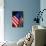 Stars and Stripes-Craig Howarth-Photographic Print displayed on a wall