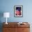 Stars and Stripes-Craig Howarth-Framed Photographic Print displayed on a wall