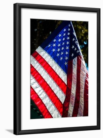 Stars and Stripes-Craig Howarth-Framed Photographic Print