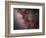 Stars, Nebulae and Dust Clouds around the Center of the Milky Way-null-Framed Photographic Print