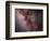 Stars, Nebulae and Dust Clouds around the Center of the Milky Way-null-Framed Photographic Print