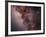 Stars, Nebulae and Dust Clouds around the Center of the Milky Way-null-Framed Photographic Print