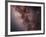 Stars, Nebulae and Dust Clouds around the Center of the Milky Way-null-Framed Photographic Print