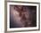 Stars, Nebulae and Dust Clouds around the Center of the Milky Way-null-Framed Photographic Print