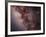 Stars, Nebulae and Dust Clouds around the Center of the Milky Way-null-Framed Photographic Print