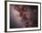 Stars, Nebulae and Dust Clouds around the Center of the Milky Way-null-Framed Photographic Print