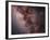 Stars, Nebulae and Dust Clouds around the Center of the Milky Way-null-Framed Photographic Print