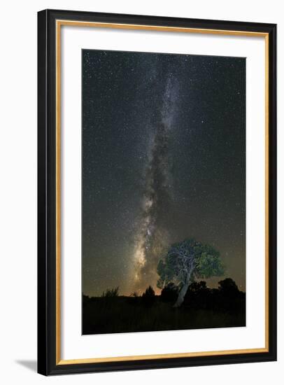 Stars over Pinon-Michael Blanchette Photography-Framed Photographic Print