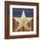 Stars&Stripes-Alan Hopfensperger-Framed Art Print