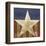 Stars&Stripes-Alan Hopfensperger-Framed Art Print