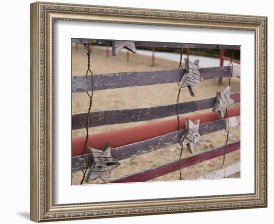 Stars & Stripes-Sisa Jasper-Framed Art Print