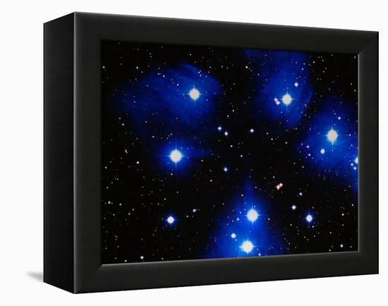 Stars-Terry Why-Framed Premier Image Canvas