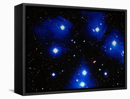 Stars-Terry Why-Framed Premier Image Canvas