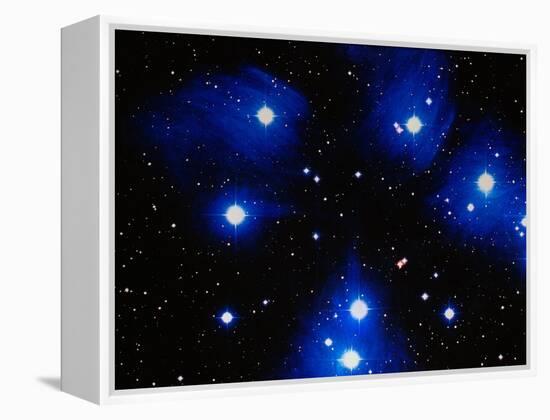 Stars-Terry Why-Framed Premier Image Canvas