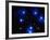 Stars-Terry Why-Framed Photographic Print