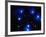 Stars-Terry Why-Framed Photographic Print