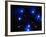 Stars-Terry Why-Framed Photographic Print