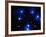 Stars-Terry Why-Framed Photographic Print