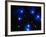 Stars-Terry Why-Framed Photographic Print