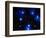 Stars-Terry Why-Framed Photographic Print