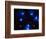 Stars-Terry Why-Framed Photographic Print