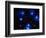 Stars-Terry Why-Framed Photographic Print