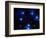 Stars-Terry Why-Framed Photographic Print