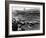 Start of the British Grand Prix, Aintree, Liverpool, 1955-null-Framed Photographic Print