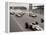 Start of the British Grand Prix at Siverstone, 1965-null-Framed Premier Image Canvas