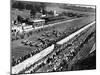 Start of the Italian Grand Prix, Monza, Early 1950S-null-Mounted Photographic Print