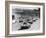 Start of the Le Mans 24 Hours, France, 1964-null-Framed Photographic Print