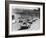 Start of the Le Mans 24 Hours, France, 1964-null-Framed Photographic Print