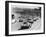 Start of the Le Mans 24 Hours, France, 1964-null-Framed Photographic Print