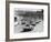 Start of the Le Mans 24 Hours, France, 1964-null-Framed Photographic Print